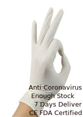 چین دستکش خدمات پاک محیطی Ambidextrous از نرمی بالا جلوگیری می کند تامین کننده